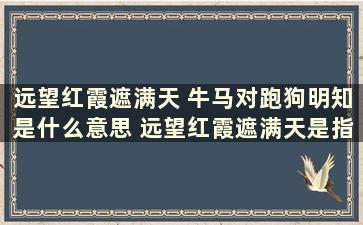 远望红霞遮满天 牛马对跑狗明知是什么意思 远望红霞遮满天是指什么